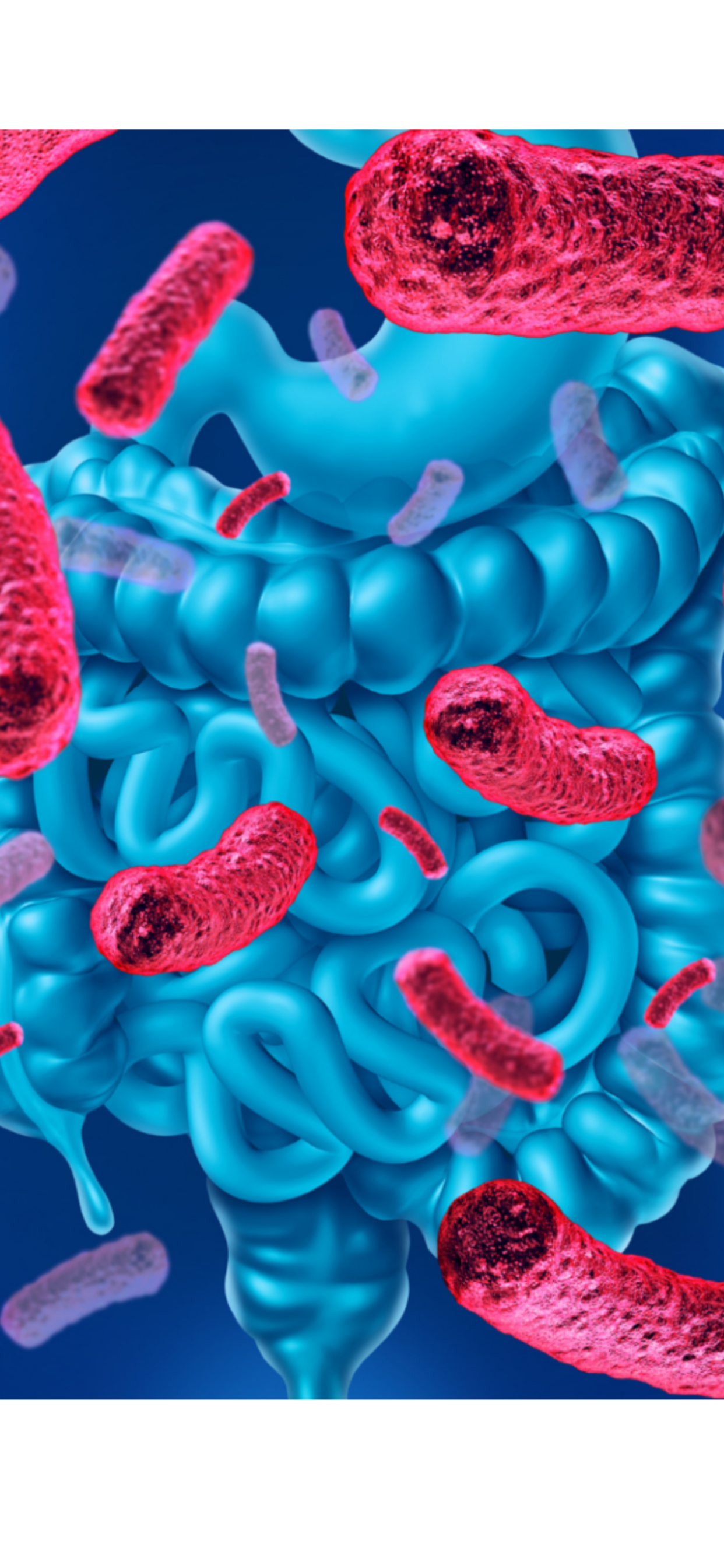 Image showcasing Lose weight with gut bacteria! | gut bacteria, weight loss and more ...